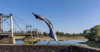 loire-velo-sculpture-elementaire-watson-veca-┬®D.Drouet (6)