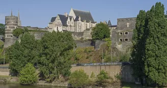 Domaine national du Château d'Angers - Le château vu du quartier de la Doutre_2