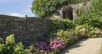 Domaine national du Château d'Angers - Le jardin d'hortensias_17