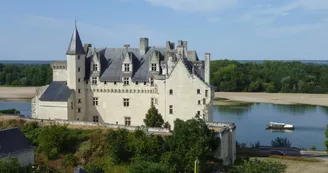 Château de Montsoreau vu du coteau