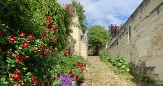 Ruelle fleurie de Montsoreau