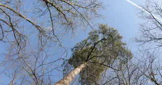 ciel-parc-beaupreau-angers-nantes-anjou-osezmauges