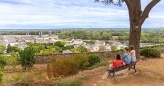 msl-osez-mauges-panorama-montjean-sur-loire©A.Béranger (2)