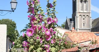 panorama-loire-tour-eglise-la-varenne