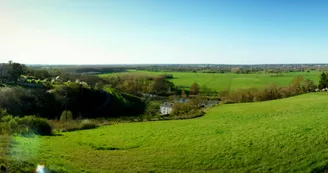 La haie longue panorama (crédit photo A.Rosselin)