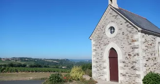 panorama-loire-galloires-vignoble-drain (3)