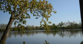 aire-naturelle-theviniere-geste-angers-nantes-anjou-osezmauges