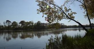 aire-naturelle-theviniere-geste-angers-nantes-anjou-osezmauges