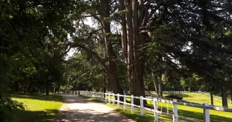 Parc de l'Isle Briand - Le Lion d'Angers