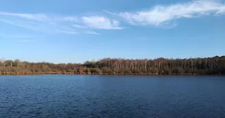 Etang et boisements de Joreau