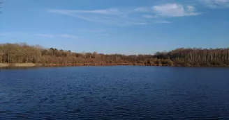 Etang et boisements de Joreau