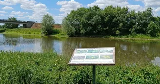 Marais pédagogique de Briollay - Table d'observation Briollay_1