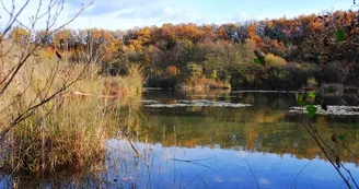 La grange du moulin de Baloge