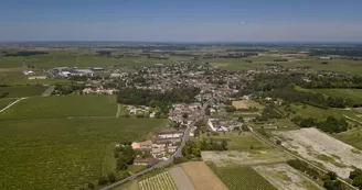 Cognac Painturaud Frères