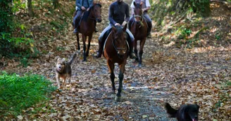 Centre Equestre Le Grand Verger