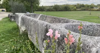 Domaine de la Laigne