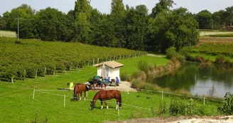 Aire camping-cars - Alexis et Francis Motard