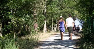 Forêt de Saint-Trojan-les-Bains