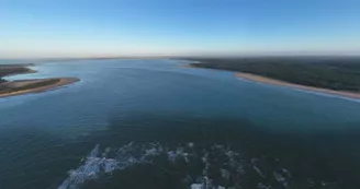 Parc naturel marin de l'estuaire de la Gironde et de la mer des Pertuis