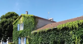 Le Clos de La Font Quéroy - Aupetit Dany