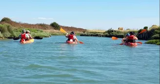 Balade en canoë encadrée