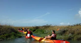 Balade en canoë encadrée