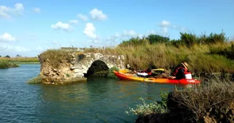 Balade en canoë encadrée