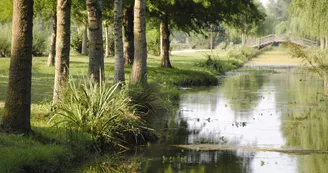 Aire de camping-car du Lac de Frace