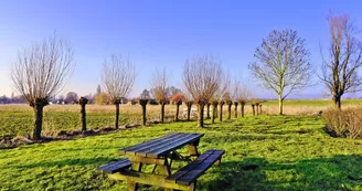 Aire de pique-nique - Nuaillé-sur-Boutonne