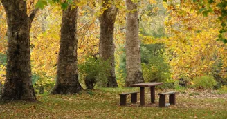 Aire de pique-nique - Forêt de Fontaine-Chalendray