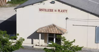 Cognac Chollet