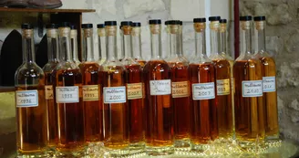 Cognac Rémy Couillebaud