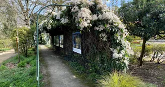 Le Jardin des Plantes