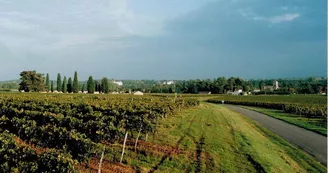 Domaine Pautier Pineau