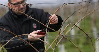 Cognac François Peyrot