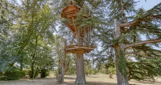 Sur un Arbre Perché - La Cabane des Énigmes