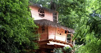 Sur un Arbre Perché - La Cabane des Moussaillons