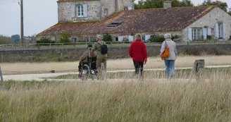 Réserve naturelle de Moëze-Oléron