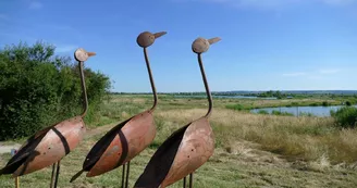 Vitrezay, un site des Echappées Nature