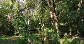 Affluents Vallée de la Charente