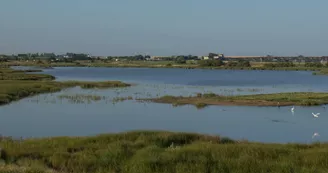 Réserve naturelle nationale du marais d'Yves