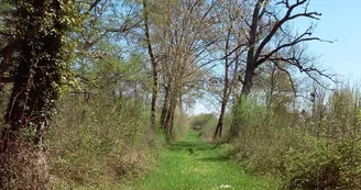 Parc du Château de Panloy