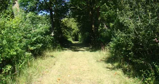 Parc du Château de Panloy