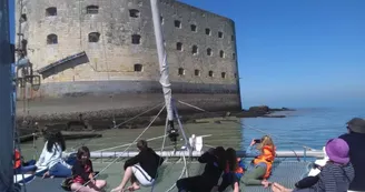 Catamarans Tepee et Zen - Boyardvoile