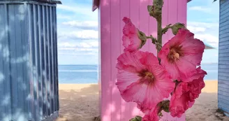 Plage de la Boirie