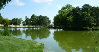 Etang du parc Barabeau