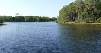 Lac Baron Desqueyroux à Montendre