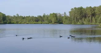 Lac Baron Desqueyroux à Montendre