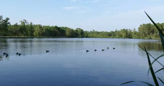 Lac Baron Desqueyroux à Montendre