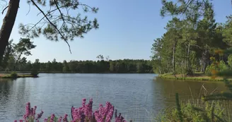 Lac Baron Desqueyroux à Montendre